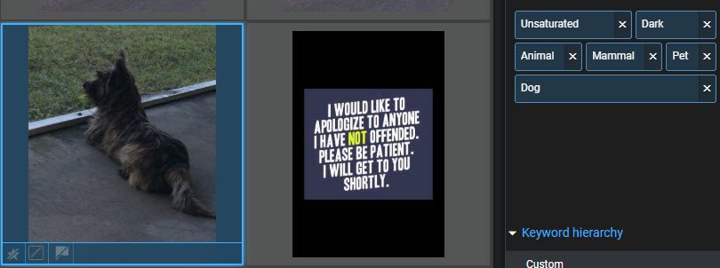 Screenshot of photos with keywords