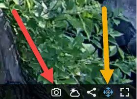 Screenshot of the Houston Zoo's webcam icon area.
