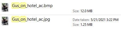 Screenshot showing Photo Size for the two pictures of Gus