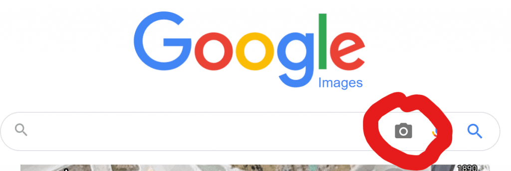 Google image search page showing the camera