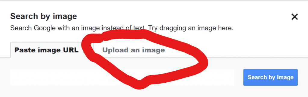 Google's search by image window showing the paste image URL and the Upload an image tabs