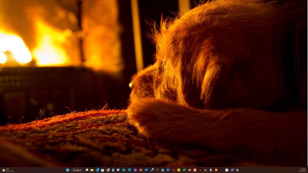 Customize Your Windows 11 Desktop with Dogs In Winter