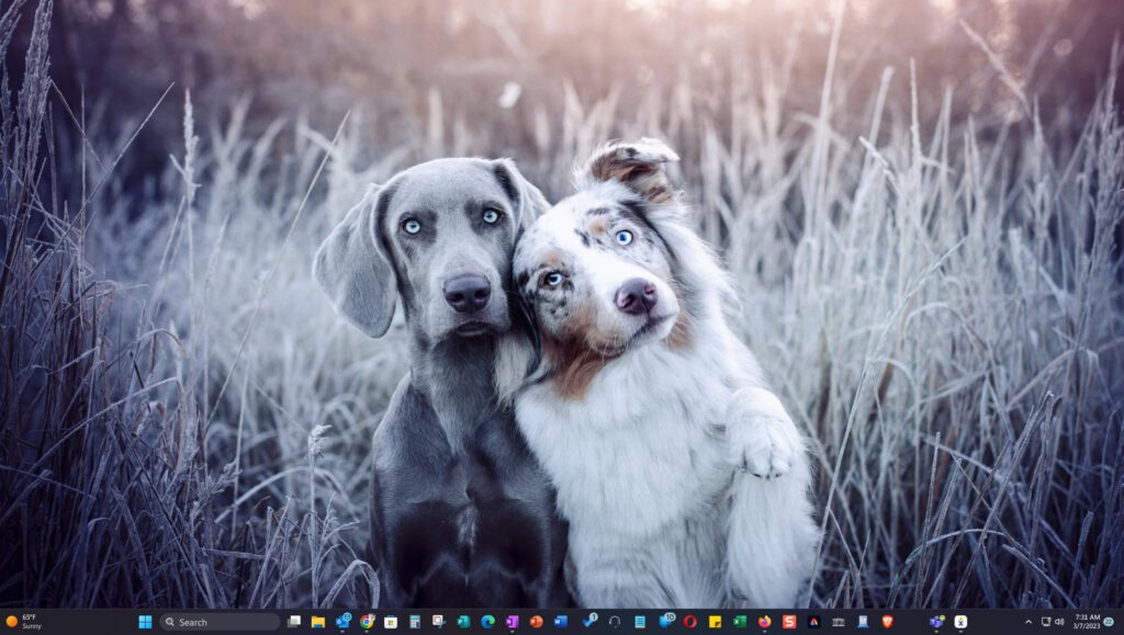 Screenshot of my desktop with no icons