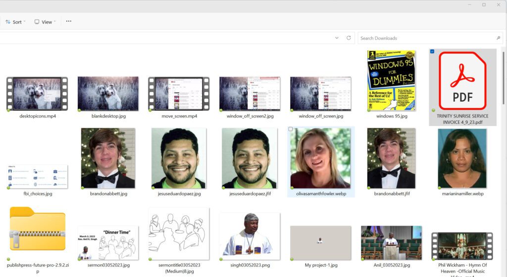 Screenshot of the Downloads folder in Extra large icons view