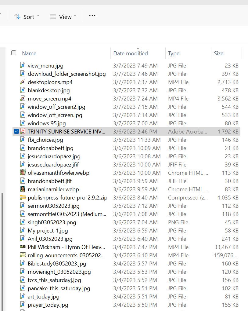 Screenshot of downloads in Details view