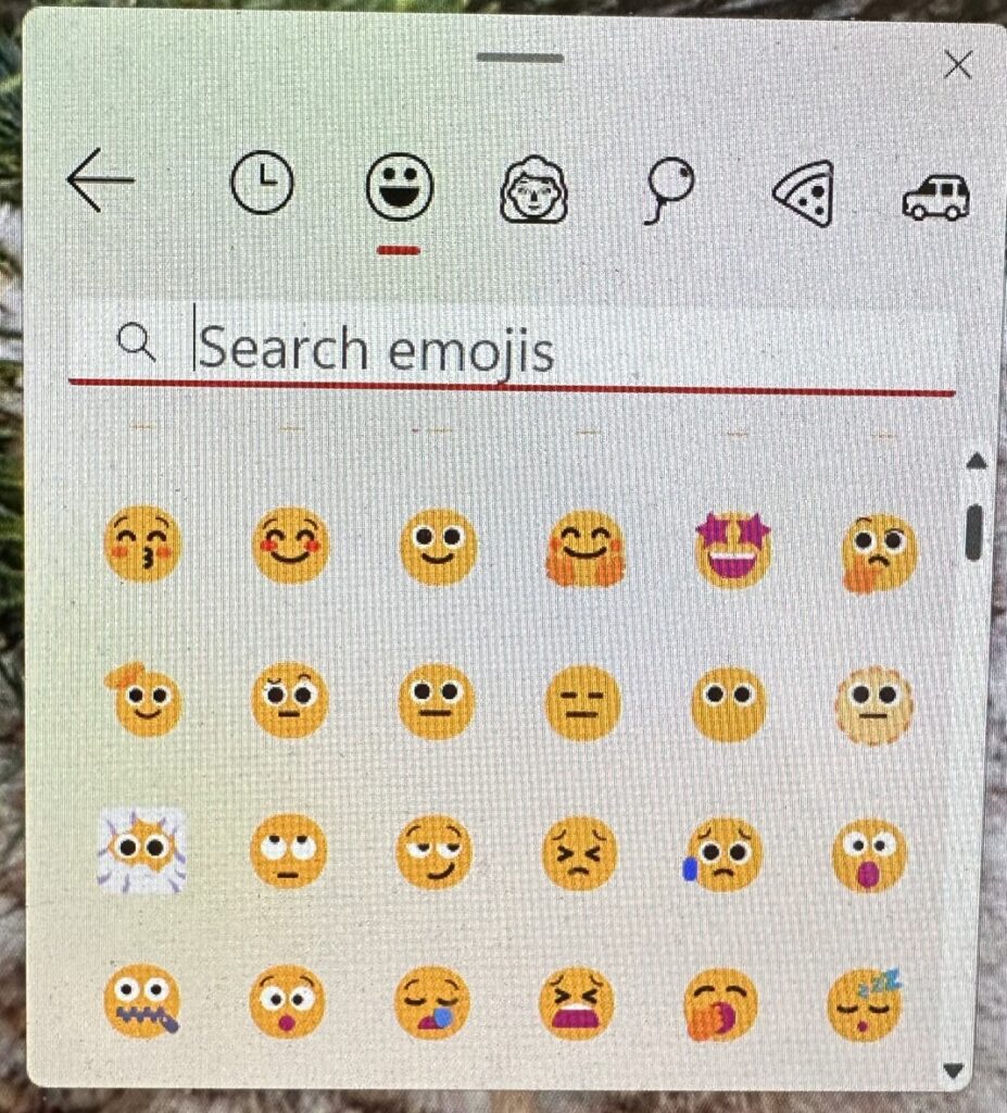 Windows symbol and emoji window.