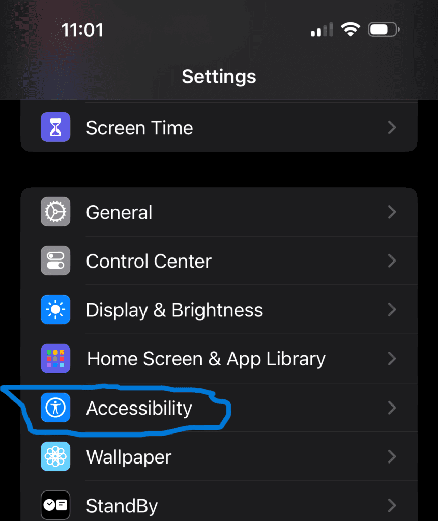 iPhone accessibility
