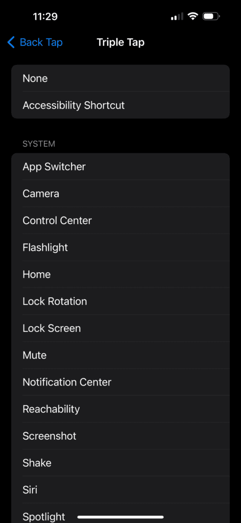 iPhone Triple Tap choices