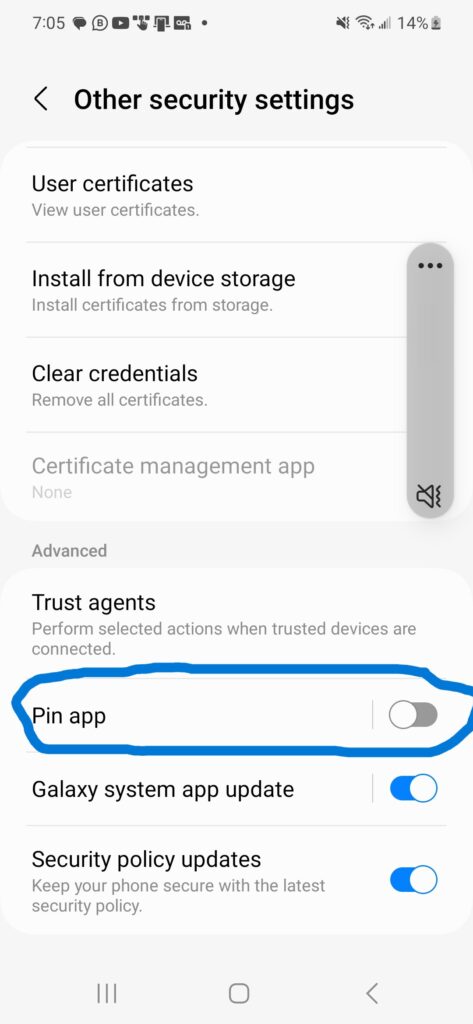 Screenshot of the Android phone Other security settings window with "Pin app" turned off..