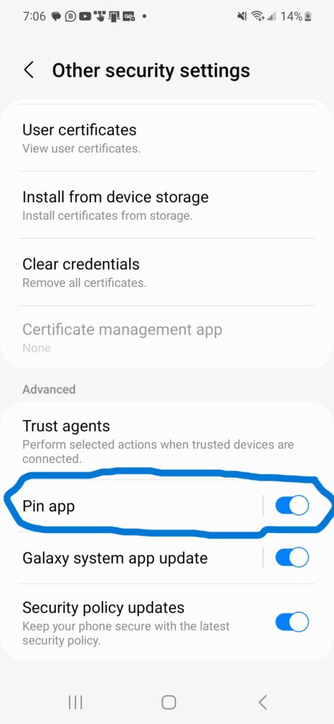 Screenshot of the Android phone Other security settings window with "Pin app" turned on.
